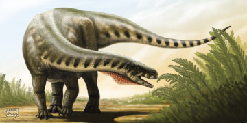 Картинка рисованное животные +доисторические динозавр