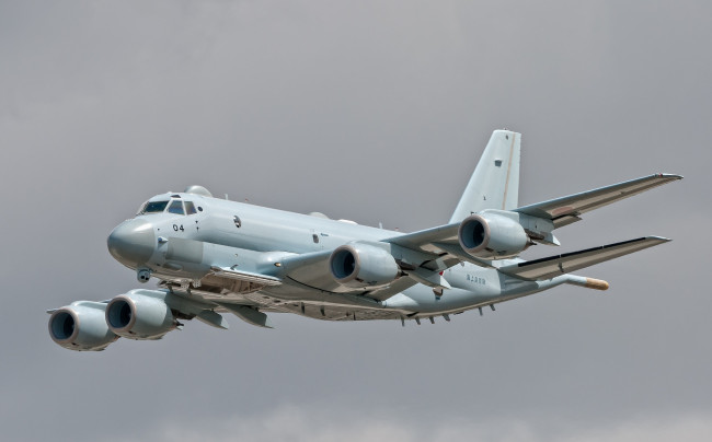 Обои картинки фото авиация, боевые самолёты, разведчик