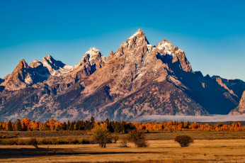 Картинка природа горы скалы осень сша grand teton national park солнце поле равнина небо гранд-титон кусты деревья