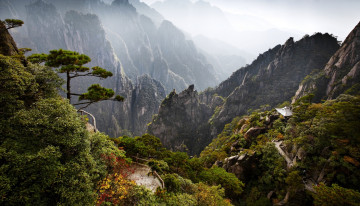 Картинка природа горы деревья тропа