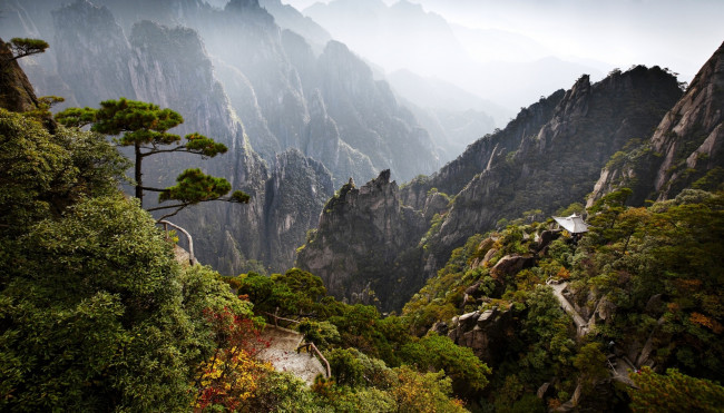 Обои картинки фото природа, горы, деревья, тропа