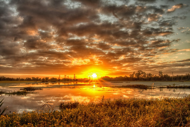 Обои картинки фото природа, восходы, закаты, трава, речка, лес, закат