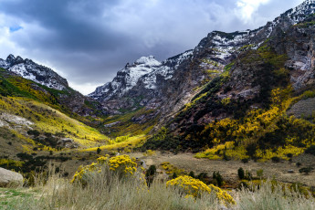 Картинка природа горы простор