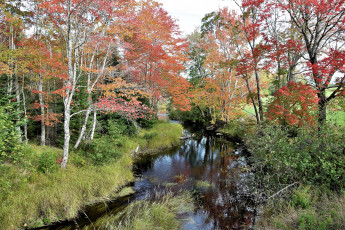 Картинка природа реки озера простор