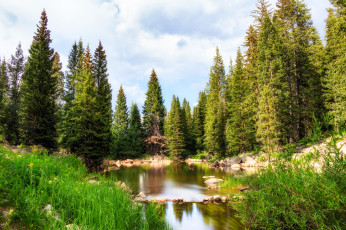 Картинка природа реки озера простор