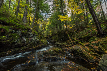 Картинка природа реки озера простор