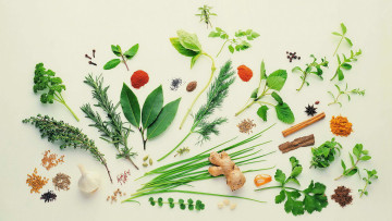 Картинка еда крупы +зерно +специи +семечки специи травы приправы петрушка гвоздика лук имбирь корень перец паприка лавровый лист тимьян мята корица орегано ваниль укроп семена