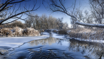 Картинка природа реки озера простор