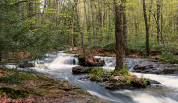 Картинка природа реки озера простор