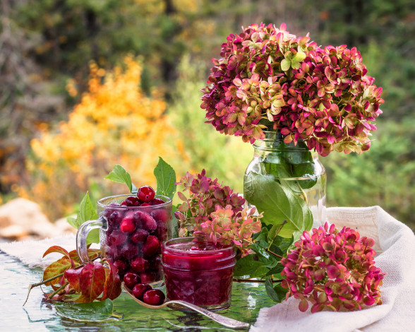 Обои картинки фото еда, мёд,  варенье,  повидло,  джем, варенье, гортензия, цветы, вишня