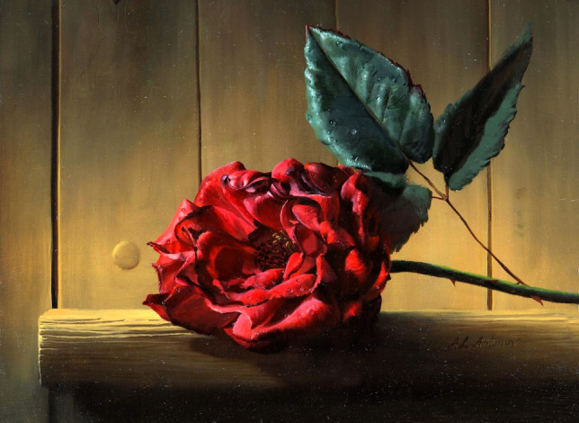 Обои картинки фото рисованное, алексей антонов, цветок, роза, листья, полка