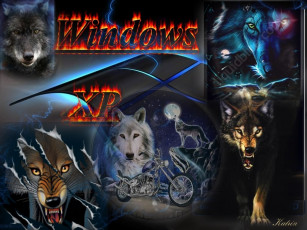 Картинка wildlife компьютеры windows xp