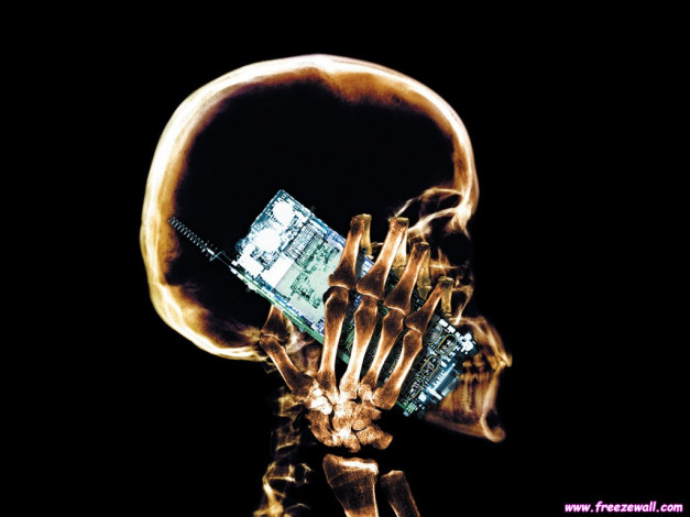 Обои картинки фото разное