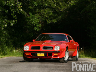 Картинка 1974 pontiac sd 455 trans am автомобили