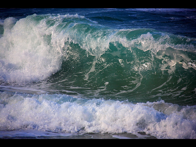 Обои картинки фото 