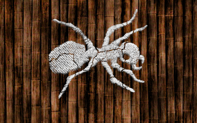 Обои картинки фото the, prodigy, музыка, муравей, лого