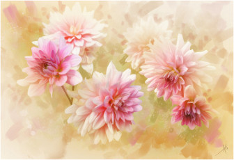 Картинка рисованные цветы георгины