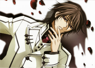 Картинка аниме vampire+knight matsuri hino форма вампир kuran kaname vampire knight art тень лепестки