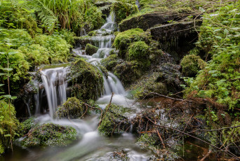 Картинка природа водопады водопад река лес