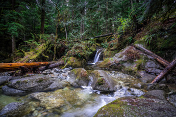 Картинка природа водопады река лес водопад