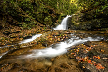 Картинка природа водопады водопад река лес