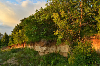 Картинка природа лес обрыв