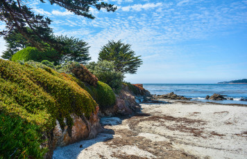 Картинка природа побережье пляж океан