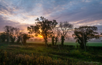 Картинка природа восходы закаты вечер деревья закат