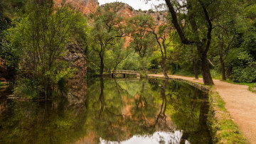 Картинка природа реки озера лес река