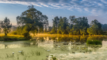 Картинка природа реки озера лес река