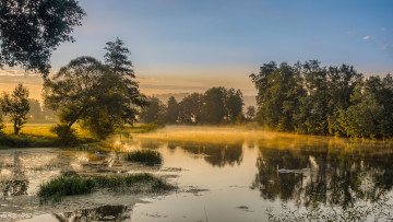 Картинка природа реки озера река лес