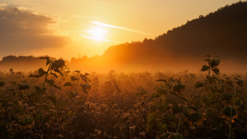 Картинка природа восходы закаты рассвет