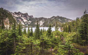 Картинка природа реки озера озеро лес горы