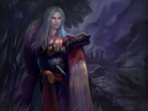 Обои картинки фото разное, арты, арт, аниме, инуяша, сешимару, демон-пёс