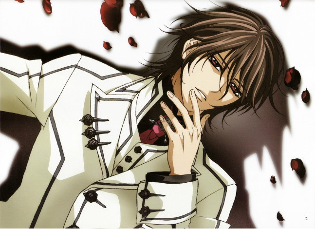 Обои картинки фото аниме, vampire knight, matsuri, hino, форма, вампир, kuran, kaname, vampire, knight, art, тень, лепестки
