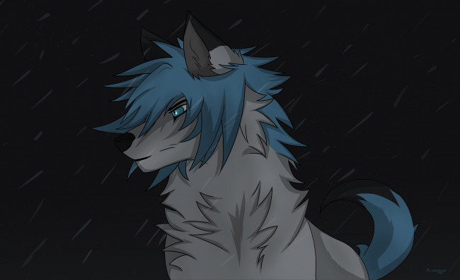 Обои картинки фото рисованное, животные,  собаки, взгляд, собака