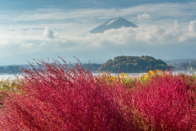 Обои картинки фото природа, пейзажи, гора, растения, облака