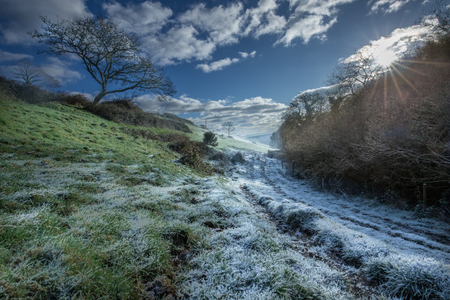 Обои картинки фото природа, дороги, иней, колея, поле