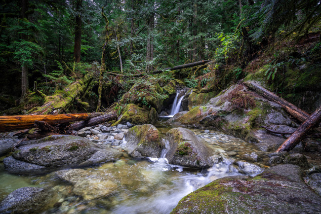 Обои картинки фото природа, водопады, река, лес, водопад