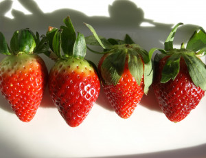 Картинка еда клубника +земляника ягоды