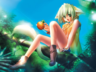 Картинка аниме животные +существа девушка взгляд фон