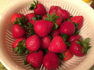 Картинка еда клубника +земляника ягоды