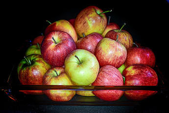 Картинка еда Яблоки плоы