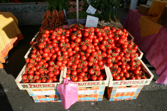 Картинка еда помидоры томаты