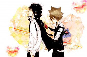 Картинка аниме katekyo+hitman+reborn тсунаёши савада хибари кёя