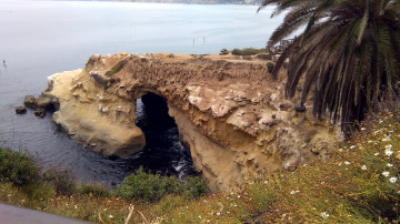 Картинка природа побережье море скала пальма