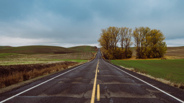 Картинка природа дороги поля дорога