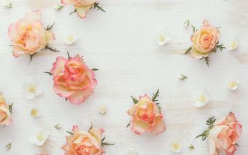 Картинка цветы разные+вместе flowers roses wood