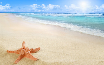 Картинка природа тропики starfish sun sea sand beach