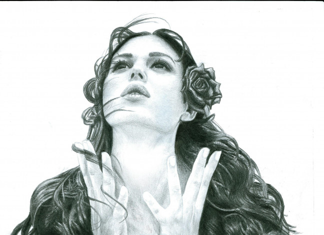 Обои картинки фото monica bellucci, рисованное, люди, роза, фон, девушка